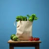 Nutshell Recycled Premium Canvas Shopper