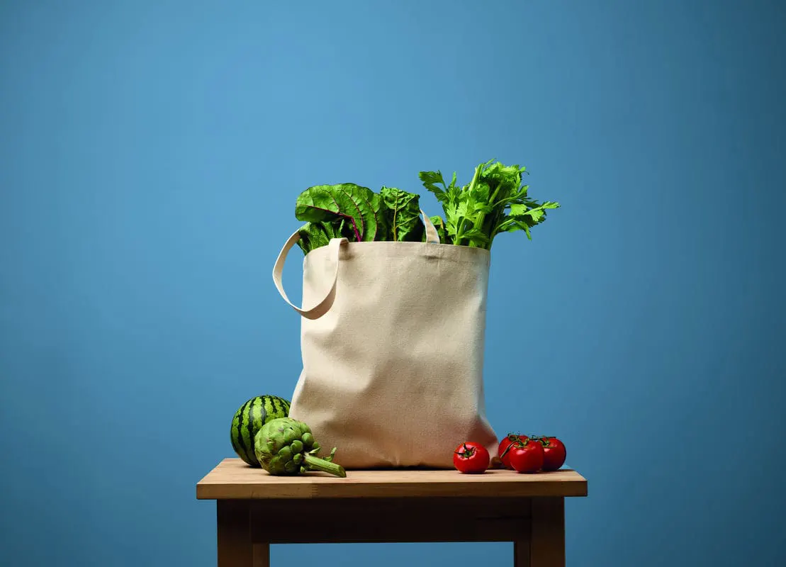 Nutshell Recycled Premium Canvas Shopper