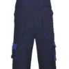 Navy/Royal