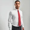 Premier Colours Originals Fashion Tie