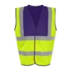 HV Yellow/Purple