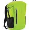 Acid Green