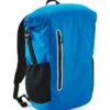 Shock Blue