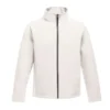White/Light Steel