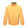Sun Orange/Seal Grey