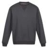 Seal Grey