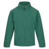 Bottle Green