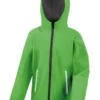 Vivid Green/Black