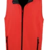 Red/Black