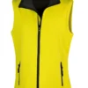 Yellow/Black