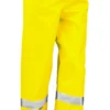 Fluorescent Yellow