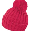 Raspberry