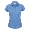 Corporate Blue