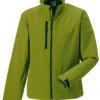 Cactus Green