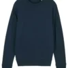 French Navy