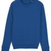 Majorelle Blue