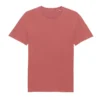 Garment Dyed Carmine Red