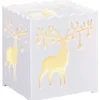 Reindeer