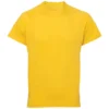Sun Yellow